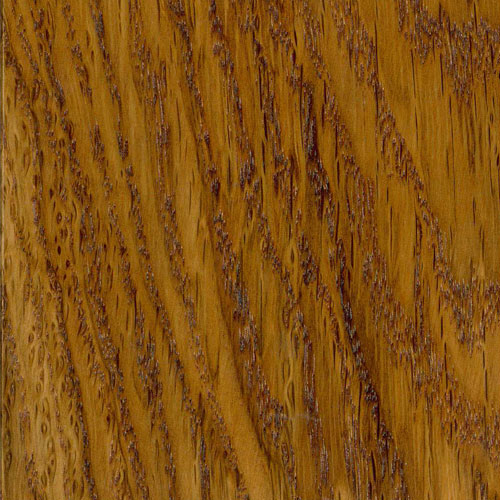 Cognac Oak