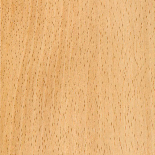 Natural Beech